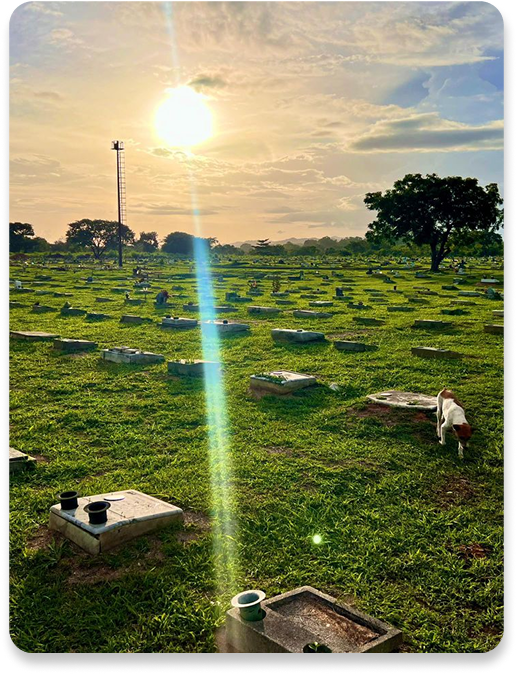 Área de descanso